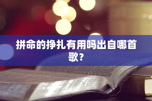 拼命的挣扎有用吗出自哪首歌？