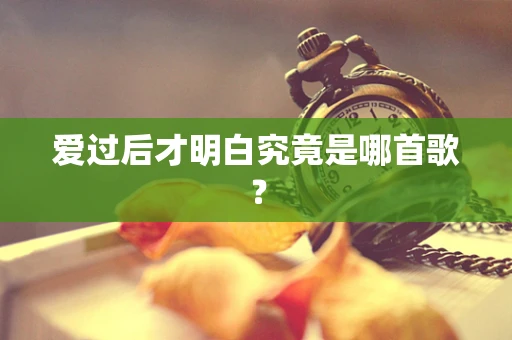 爱过后才明白究竟是哪首歌？