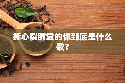 撕心裂肺爱的你到底是什么歌？