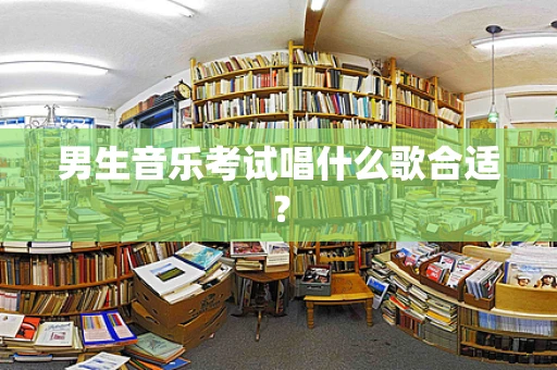 男生音乐考试唱什么歌合适？