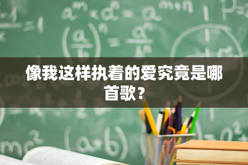 像我这样执着的爱究竟是哪首歌？
