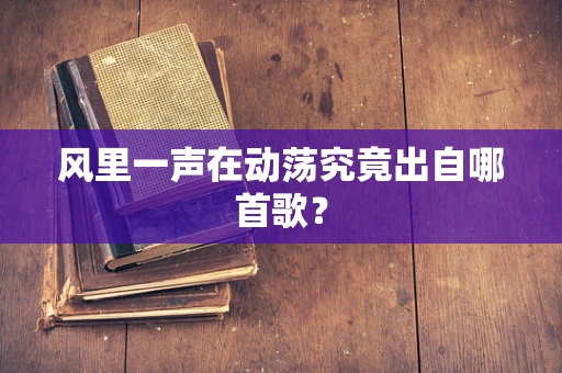 风里一声在动荡究竟出自哪首歌？