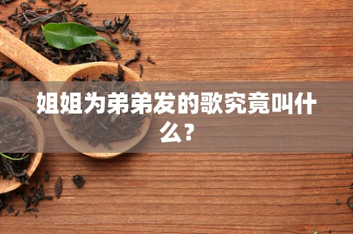 姐姐为弟弟发的歌究竟叫什么？