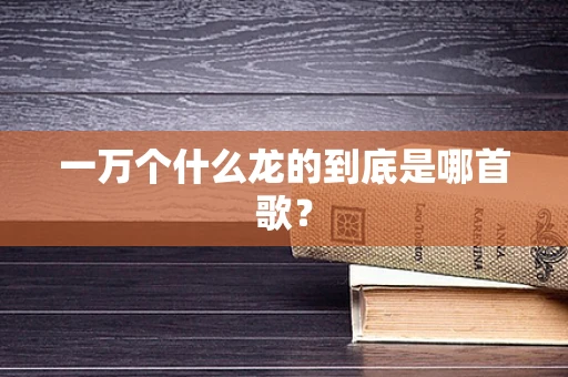 一万个什么龙的到底是哪首歌？