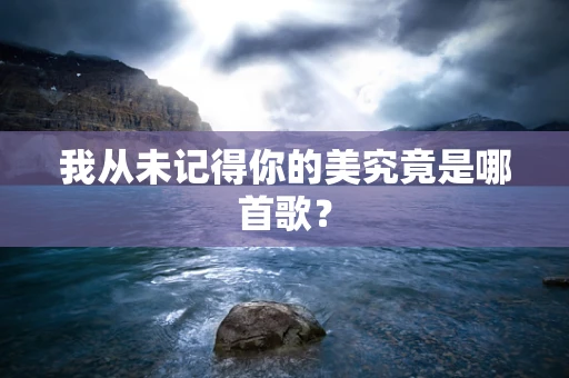我从未记得你的美究竟是哪首歌？