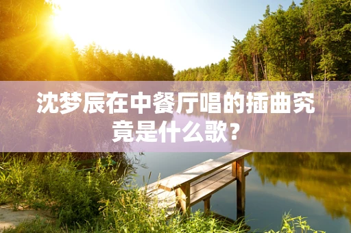沈梦辰在中餐厅唱的插曲究竟是什么歌？