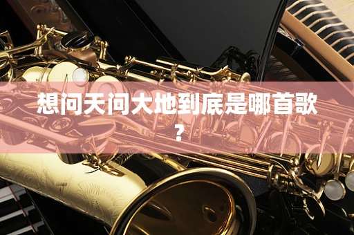 想问天问大地到底是哪首歌？