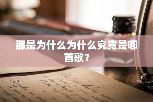那是为什么为什么究竟是哪首歌？