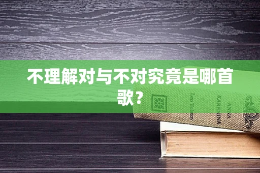 不理解对与不对究竟是哪首歌？