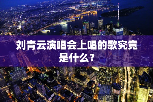 刘青云演唱会上唱的歌究竟是什么？