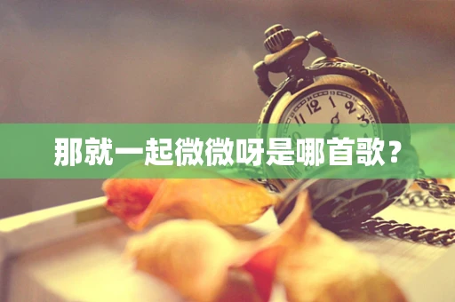 那就一起微微呀是哪首歌？