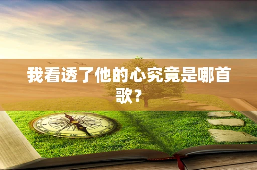 我看透了他的心究竟是哪首歌？