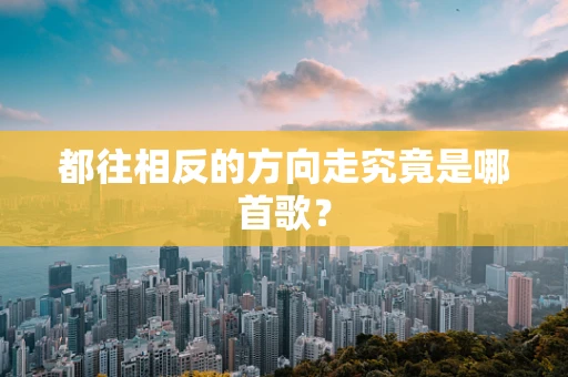 都往相反的方向走究竟是哪首歌？