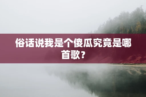 俗话说我是个傻瓜究竟是哪首歌？