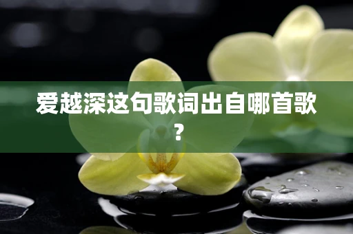 爱越深这句歌词出自哪首歌？