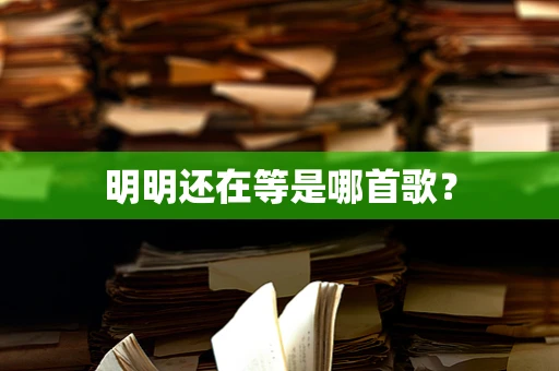 明明还在等是哪首歌？