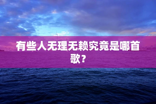 有些人无理无赖究竟是哪首歌？