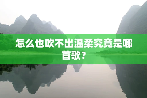 怎么也吹不出温柔究竟是哪首歌？