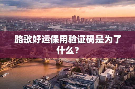 路歌好运保用验证码是为了什么？