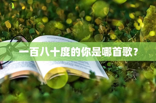 一百八十度的你是哪首歌？