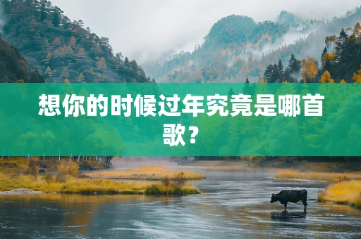 想你的时候过年究竟是哪首歌？