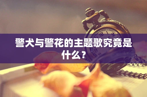 警犬与警花的主题歌究竟是什么？