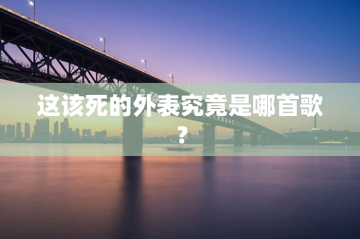 这该死的外表究竟是哪首歌？