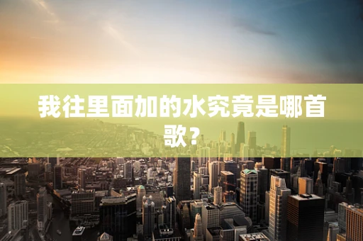 我往里面加的水究竟是哪首歌？