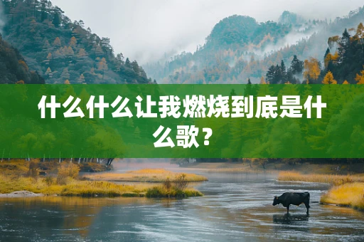 什么什么让我燃烧到底是什么歌？
