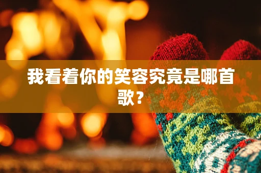 我看着你的笑容究竟是哪首歌？