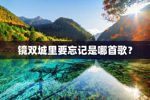 镜双城里要忘记是哪首歌？