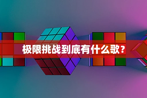 极限挑战到底有什么歌？