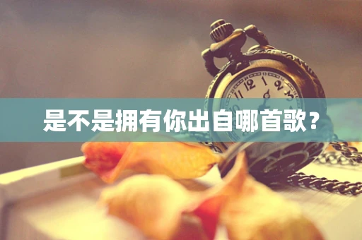 是不是拥有你出自哪首歌？