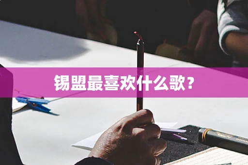 锡盟最喜欢什么歌？
