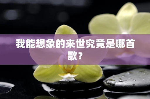 我能想象的来世究竟是哪首歌？