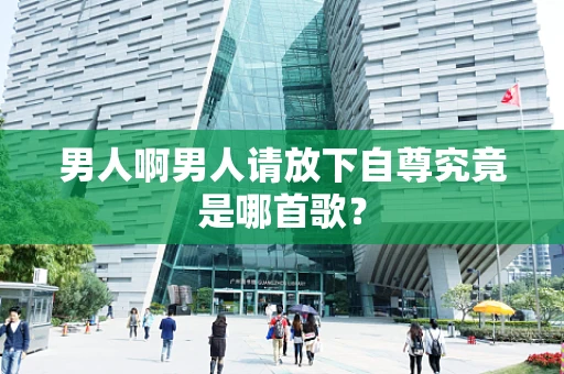 男人啊男人请放下自尊究竟是哪首歌？