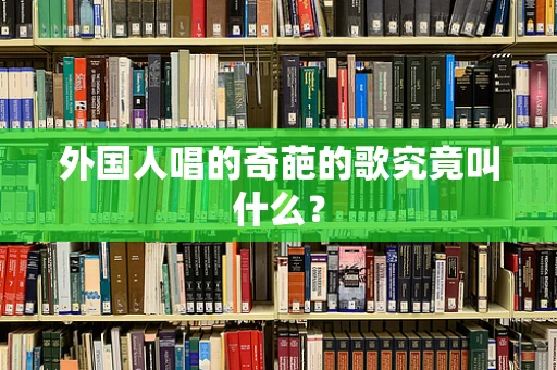 外国人唱的奇葩的歌究竟叫什么？