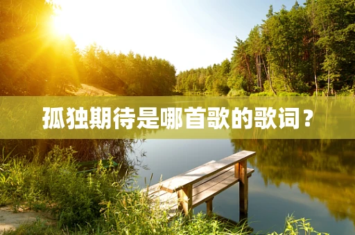 孤独期待是哪首歌的歌词？