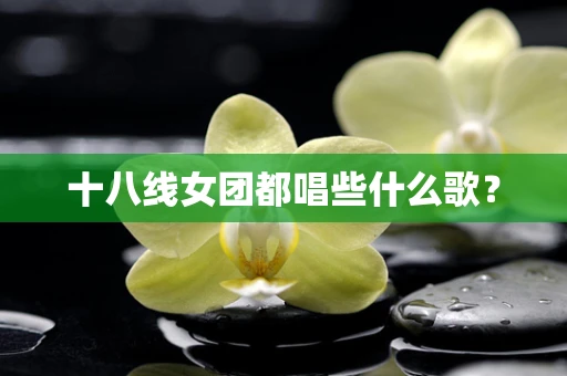 十八线女团都唱些什么歌？