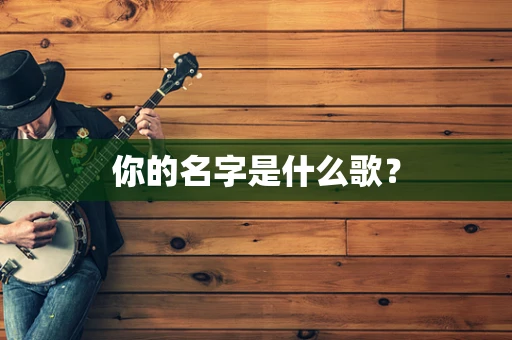 你的名字是什么歌？