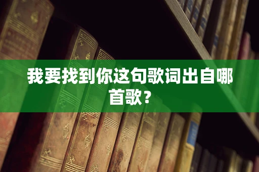 我要找到你这句歌词出自哪首歌？