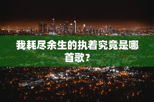 我耗尽余生的执着究竟是哪首歌？