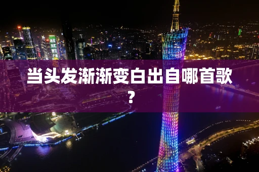 当头发渐渐变白出自哪首歌？