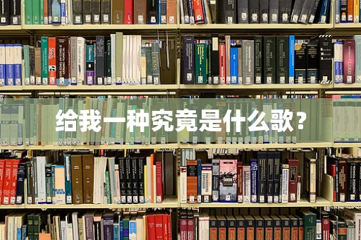 给我一种究竟是什么歌？
