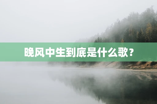 晚风中生到底是什么歌？