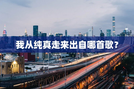 我从纯真走来出自哪首歌？