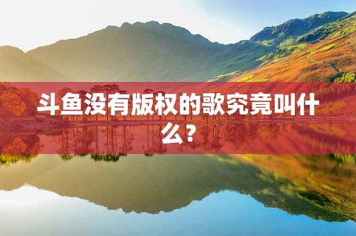 斗鱼没有版权的歌究竟叫什么？