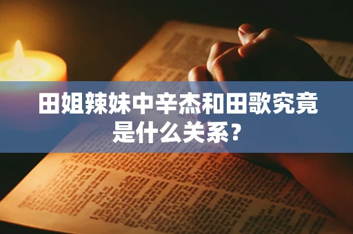 田姐辣妹中辛杰和田歌究竟是什么关系？