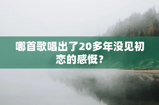 哪首歌唱出了20多年没见初恋的感慨？