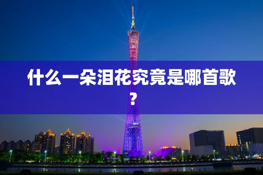 什么一朵泪花究竟是哪首歌？